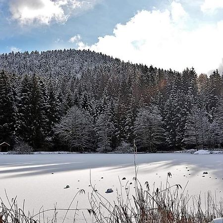 Le Petit Vosgien Daire Gérardmer Dış mekan fotoğraf