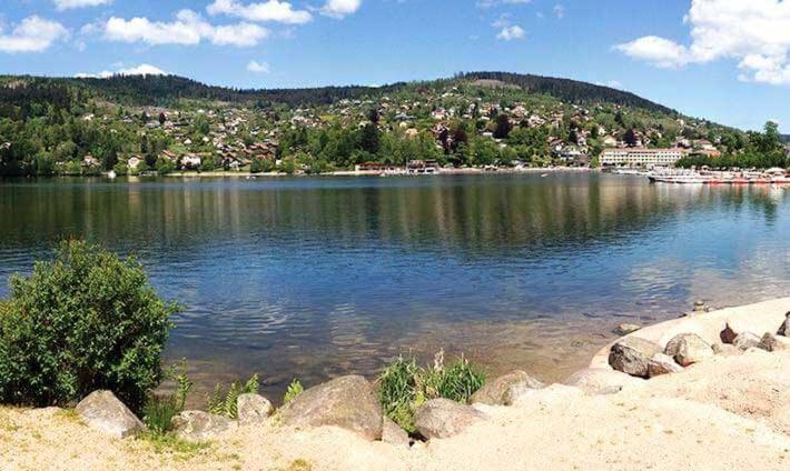 Le Petit Vosgien Daire Gérardmer Dış mekan fotoğraf