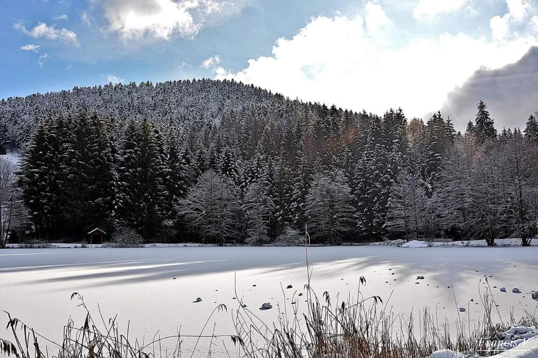 Le Petit Vosgien Daire Gérardmer Dış mekan fotoğraf