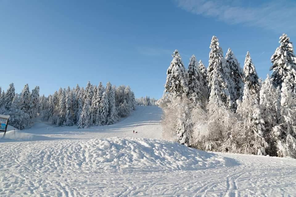 Le Petit Vosgien Daire Gérardmer Dış mekan fotoğraf