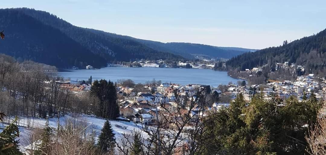 Le Petit Vosgien Daire Gérardmer Dış mekan fotoğraf