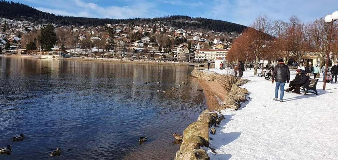 Le Petit Vosgien Daire Gérardmer Dış mekan fotoğraf